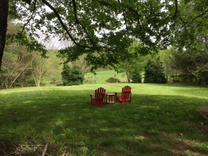 First efforts provide a glimpse at the field 