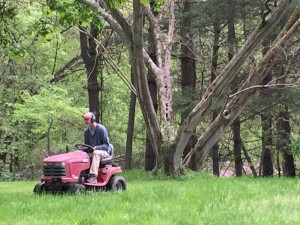 Jim Mowing